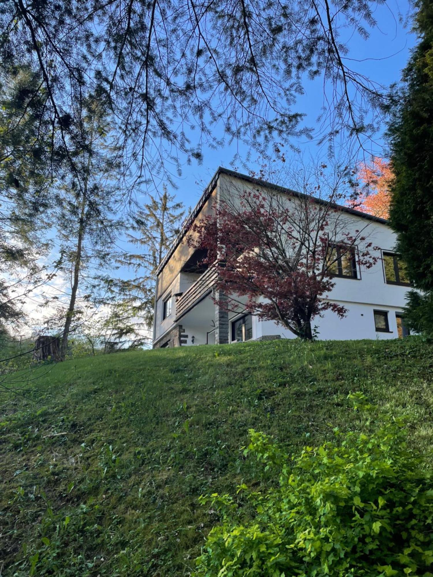 Talblick Chalet Blankenheim Blankenheim  Bagian luar foto